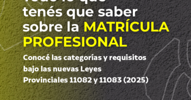 Conocé las distintas categorías de matrícula profesional previstas en las nuevas leyes provinciales